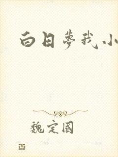 白日梦我小说