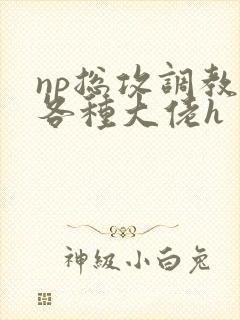 np总攻调教j各种大佬h封面