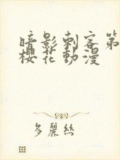 暗影刺客第五季樱花动漫封面