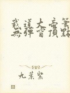 武道大帝笔趣阁无弹窗顶点