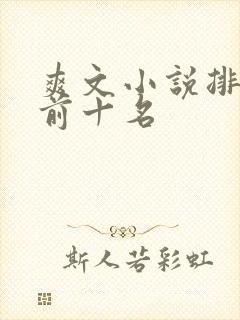爽文小说排行榜前十名