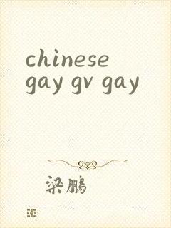 chinesegay gv gay封面