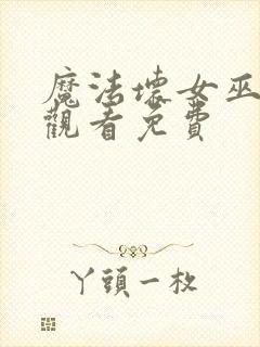 魔法坏女巫在线观看免费