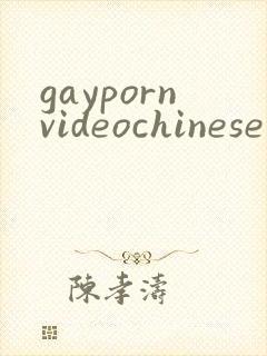 gaypornvideochinese