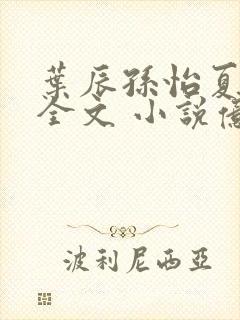 叶辰孙怡夏若雪全文 小说亿软