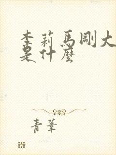 李莉马刚大结局是什么