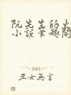 阮先生的火风l小说笔趣阁