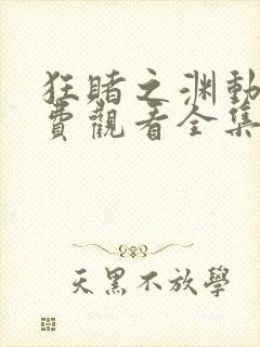 狂赌之渊动漫免费观看全集完整版