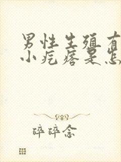 男性生殖有白色小疙瘩是怎么回事