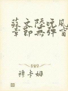 苏文陆晚风最新章节无弹窗笔趣阁