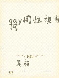 gay同性视频网