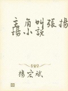 主角叫张扬的官场小说