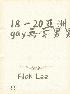 18一20亚洲gay无套男男