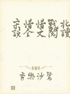 宋惜惜战北望小说全文阅读