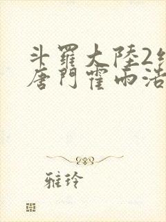 斗罗大陆2绝世唐门霍雨浩武魂