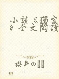 小说《独家小说》全文阅读