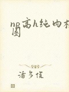 np高h纯肉校园