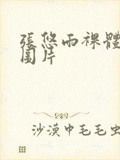 张悠雨裸体艺术图片封面