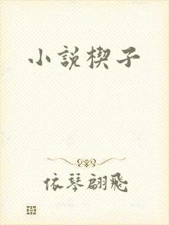 小说楔子