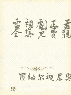 电视剧正者无敌全集免费观看