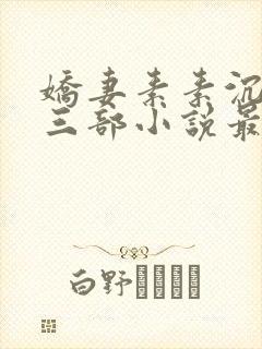 娇妻素素沉沦第三部小说最新章节