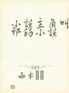 小说主角叫柳无邪的小说封面