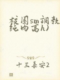 校园sm调教(纯肉高h)