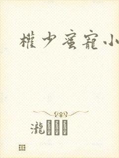 权少蜜宠小娇妻封面