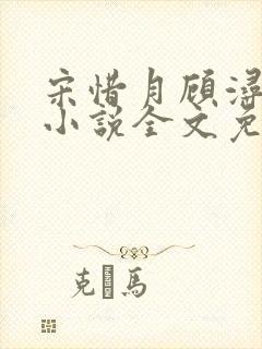 宋惜月顾浔渊的小说全文免费阅读封面