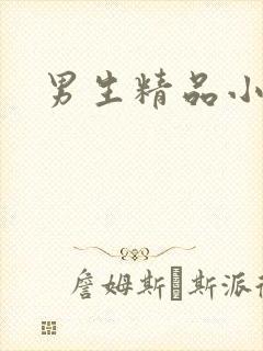 男生精品小视频