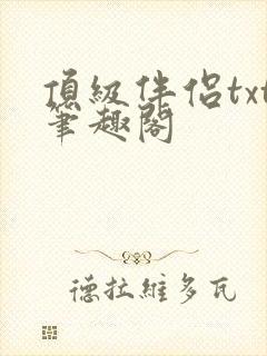 顶级伴侣txt笔趣阁