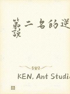 第二名的逆袭小说封面