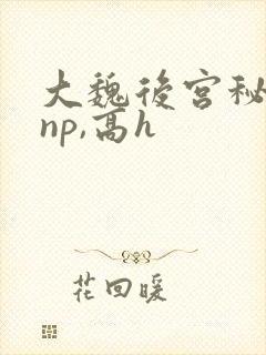 大魏后宫秘史(np,高h