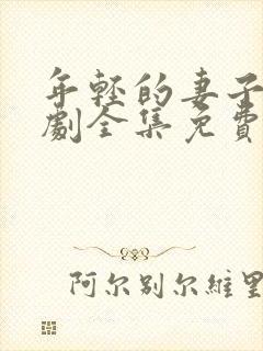 年轻的妻子电视剧全集免费观看高清