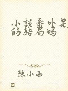 小说番外是真正的结局吗