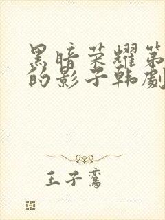 黑暗荣耀第二季的影子韩剧免费观看