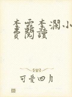 李霖李澜小说免费阅读