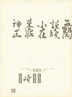 神墓小说无删减正版在线阅读