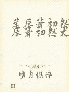 叶辰萧初然 叶辰萧初然大结局封面