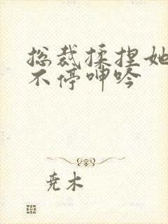 总裁揉捏她两乳不停呻吟