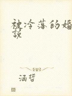 被冷落的婚姻小说