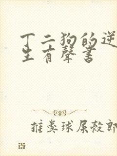 丁二狗的逆袭人生有声书