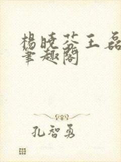 杨晓芬王磊小说笔趣阁