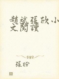 赵斌张欣小说全文阅读封面