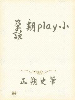 孕期play小说