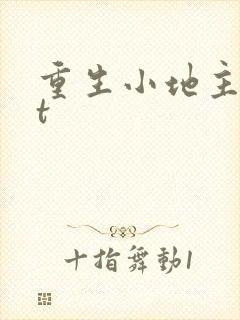 重生小地主txt封面