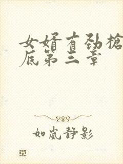 女婿有劲枪枪到底第三章