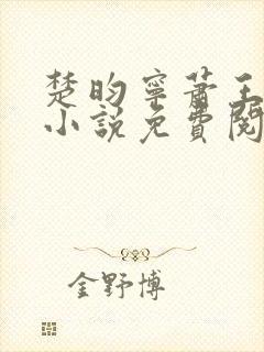 楚昀宁萧王穿越小说免费阅读无弹窗