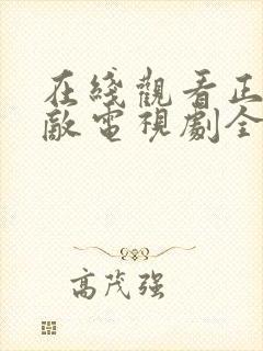 在线观看正者无敌电视剧全集封面