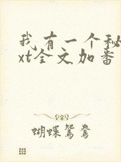 我有一个秘密txt全文加番外